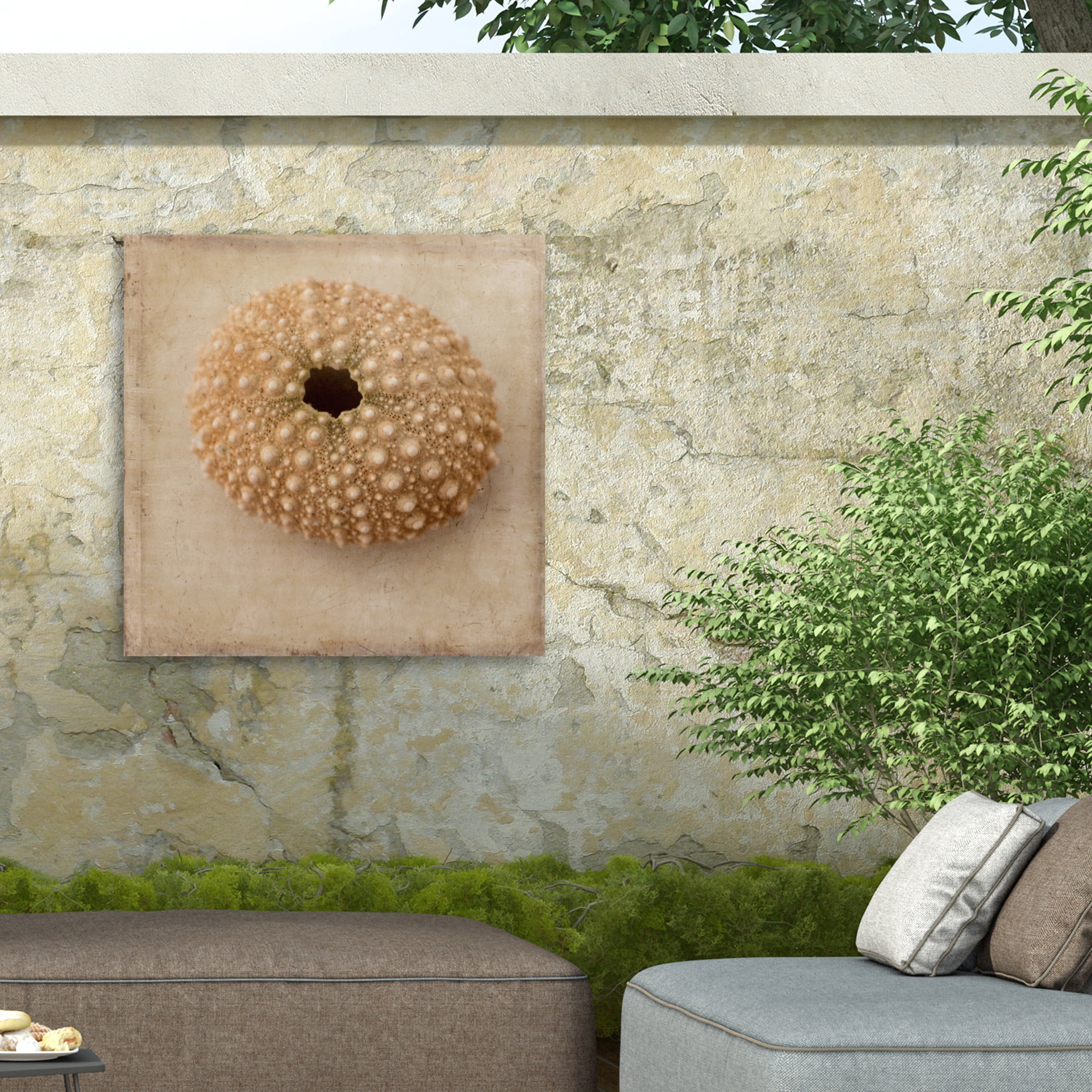 Judy Stalus 'Sepia Shell III' Outdoor Canvas 35x35