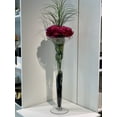 thumbnail image 4 of WGV Clear Extra Large Flared Lip Trumpet Vase - 4" Wide x 24" Height, Good quality, Heavy Weighted Base - 1 Pc, 4 of 5