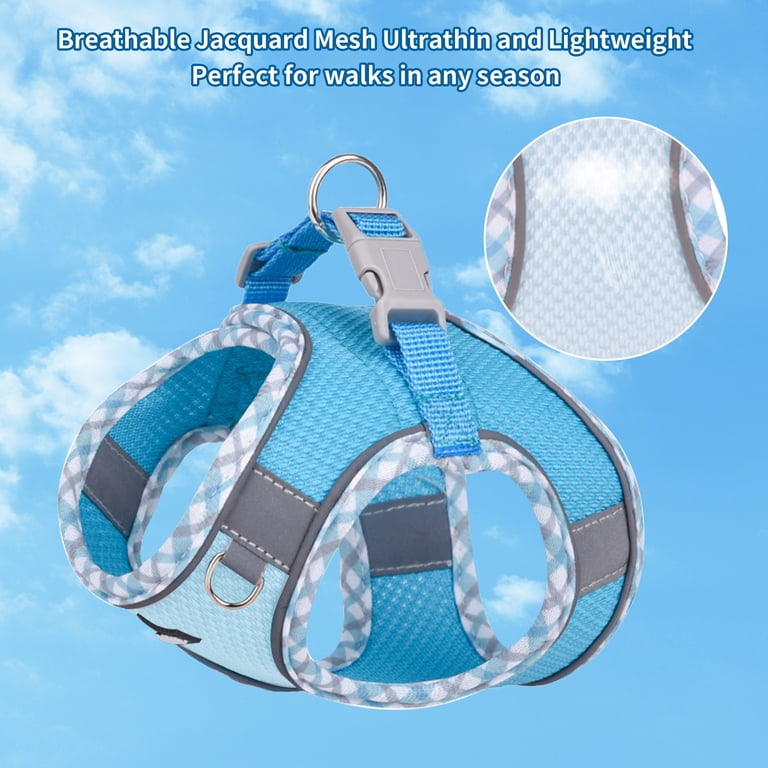 Reflective Step-In Harness and Leash Set, Extra Small photo 5