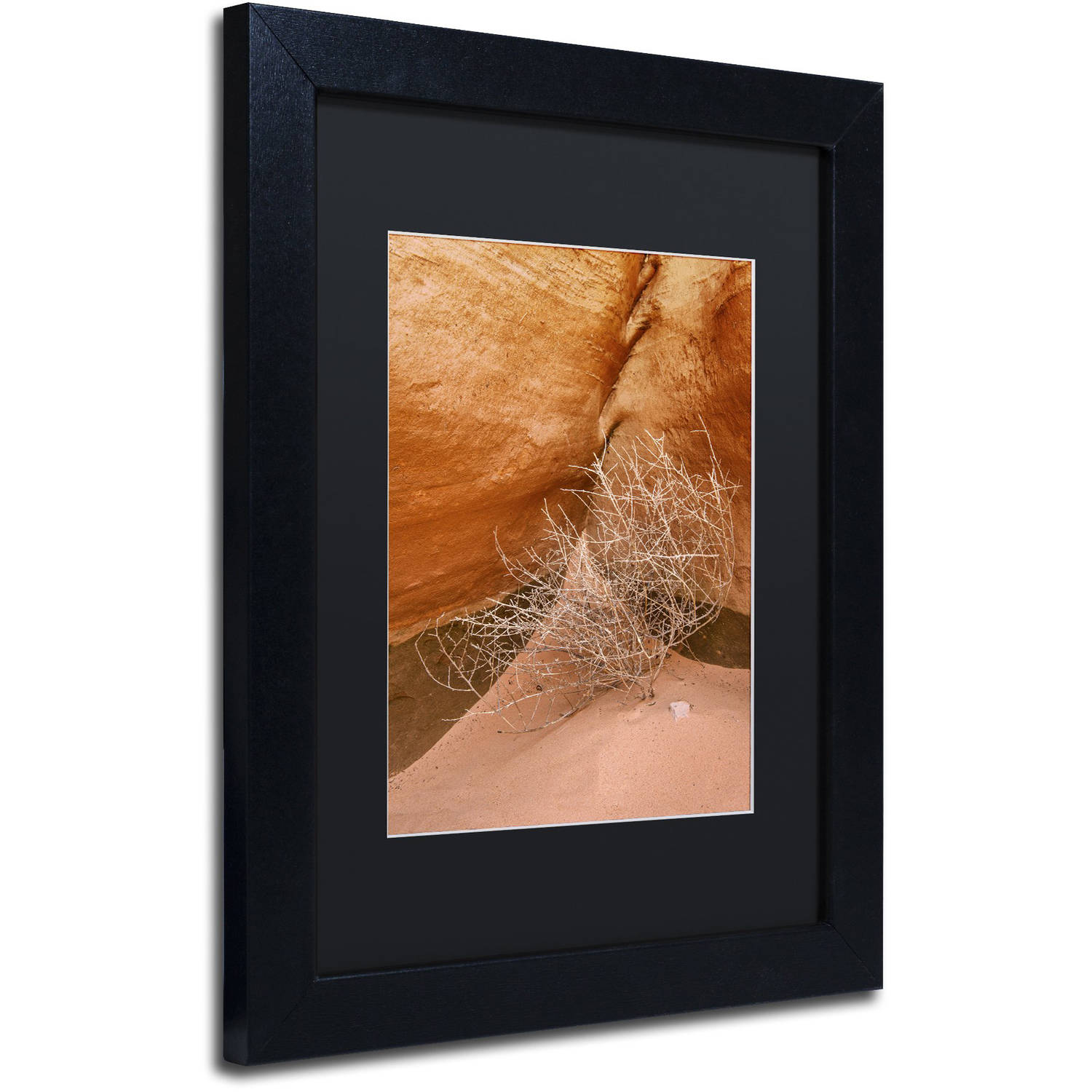Trademark Fine Art 'Tumbleweed' Canvas Art by Michael Blanchette Photography, Black Matte, Black Frame