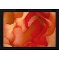 thumbnail image 2 of Rita Crane 14x11 Black Modern Wood Framed Wall Art Titled - Begonia Petals II, 2 of 6
