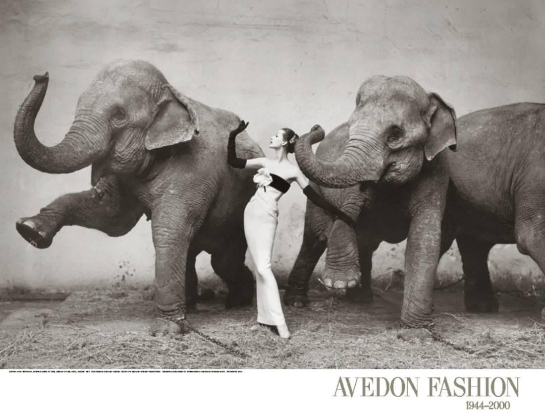 Dovima with Elephants, c.1955 Art Print By Richard Avedon - 30x23 ...