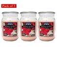 thumbnail image 1 of Citi-Lites Pot Apothicaire 18 Onces-Spa Relaxant (Lot de 3), 1 of 2