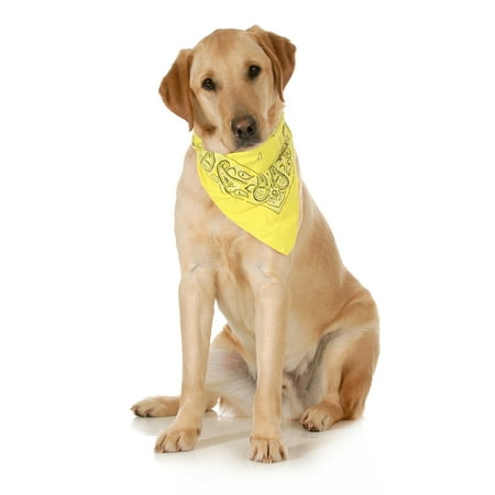 Mechaly Paisley Cotton Dog Scarf Triangle Bibs - XL & Washable (Yellow)