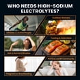 thumbnail image 6 of Venture Pal High Sodium Sugar Free Electrolytes Powder Packet - Hydration Packets with Vitamin, Sodium & Potassium | Zero Calories | Vegan, Keto & Paleo Friendly Electrolyte Drink Mix-30 Sticks, 6 of 11
