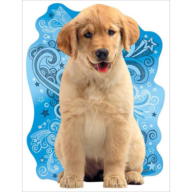 Taladro Diamante Pintura (DE3389) 5D DIY Kit de bordado de punto de cruz completo (A938 Gato) 20X30cm FLhrweasw Nuevo