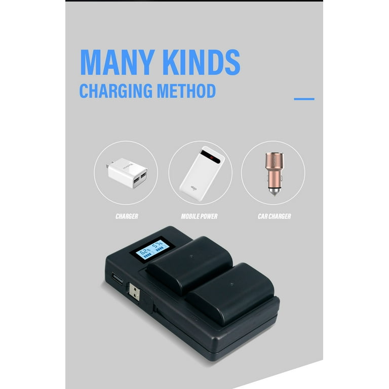 2 Batterie PATONA Premium DMW-BLF19E 2400mAh - Compatibili Con Panasonic Lumix GH5, GH4, GH3 E Sigma - Foto 3