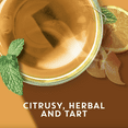 thumbnail image 3 of TAZO Herbal Tea, Wild Sweet Orange, Caffeine-Free, Tea Bags 20 Count Box, 3 of 8