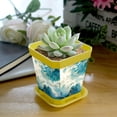 thumbnail image 5 of HemaKayy Decorative Planter Pot Set - Perfect for Small Plants - Colorful Design With Drainage Hole - Ideal for Home and Garden Decor - Set of 8 - Unique Marble Texture, 5 of 6