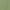 Terrace Green, variant on Wonder Nation Girls Short Sleeve Henley Knit Top, Sizes 4-18 & Plus
