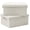 Beige, variant on Black Storage Boxes With Lids, 2-Pack, For Organizing Shoes Books Clothes