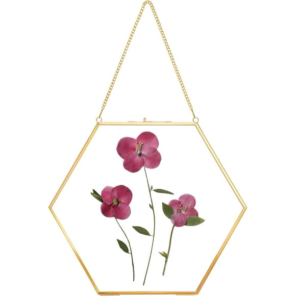 shiyou-Handmade Glass Frame for Pressed Flowers, Double Glass Brass Floating Frame, Wall Hanging Round Picture, Frame for Dried Flowers Poster Home Wall Decor, Hexagon, Gold, Height 10 inches