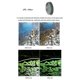 thumbnail image 4 of For Go 2/3 Lens Filters CPL UV ND4 ND8 ND16 ND32 STAR Night for GO2 GO3 Action Sport Camera, 4 of 5