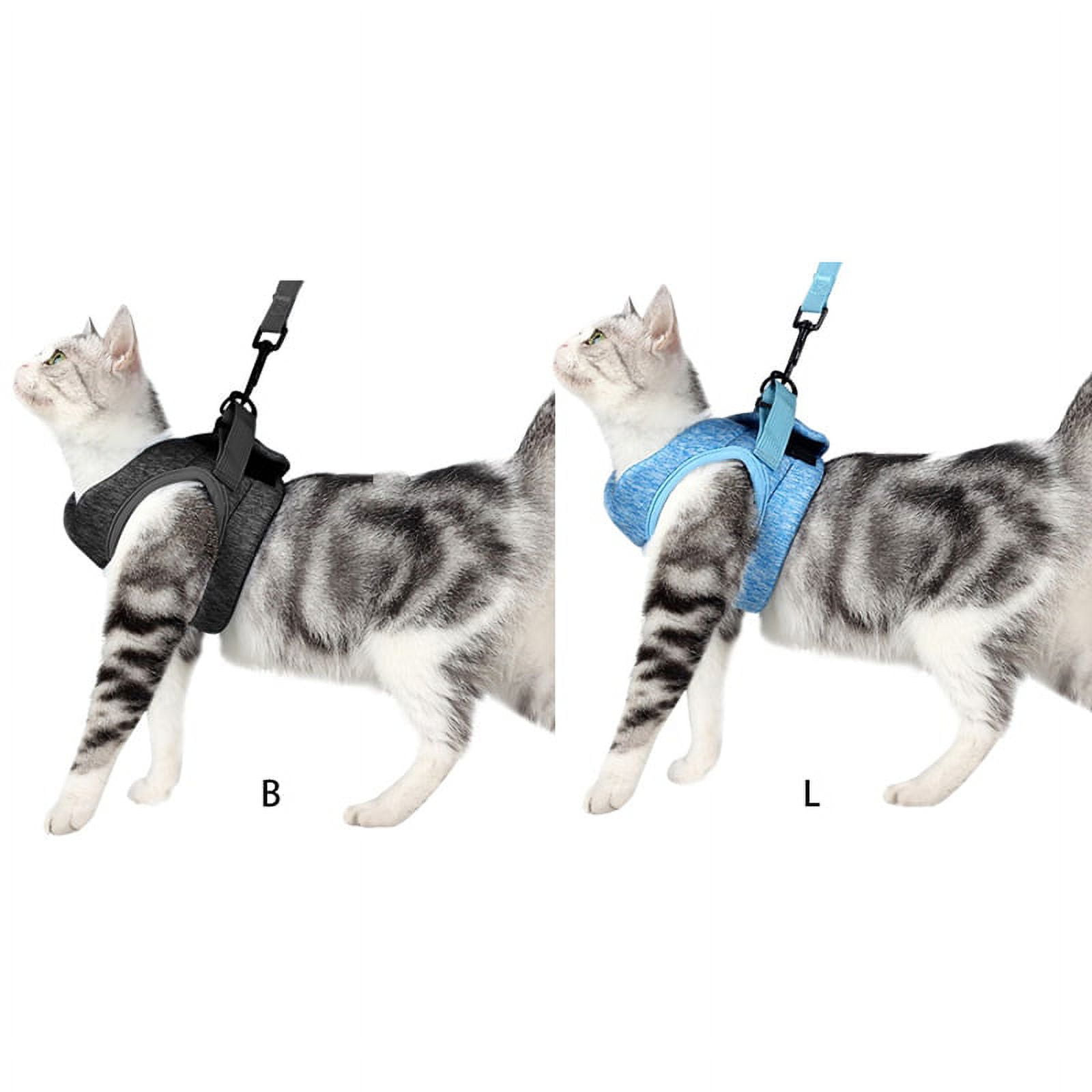 Pet Cat Dog Vest Harness and Leash Set Adjustable Reflective Safety Vest Soft Corduroy Mesh Padded For Puppy Dogs Cats Outdoor