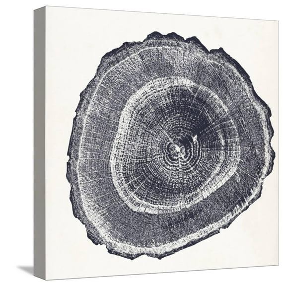 Art.com Tree Ring III Stretched Canvas Print Wall Art by Vision Studio, 16" x 16"
