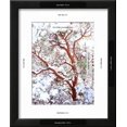 thumbnail image 3 of USA, California. a SnowCovered Manzanita Bush, Botanical Scenic Seasons Framed Art Print Wall Art by Jaynes Gallery Sold by Art.Com, 3 of 6