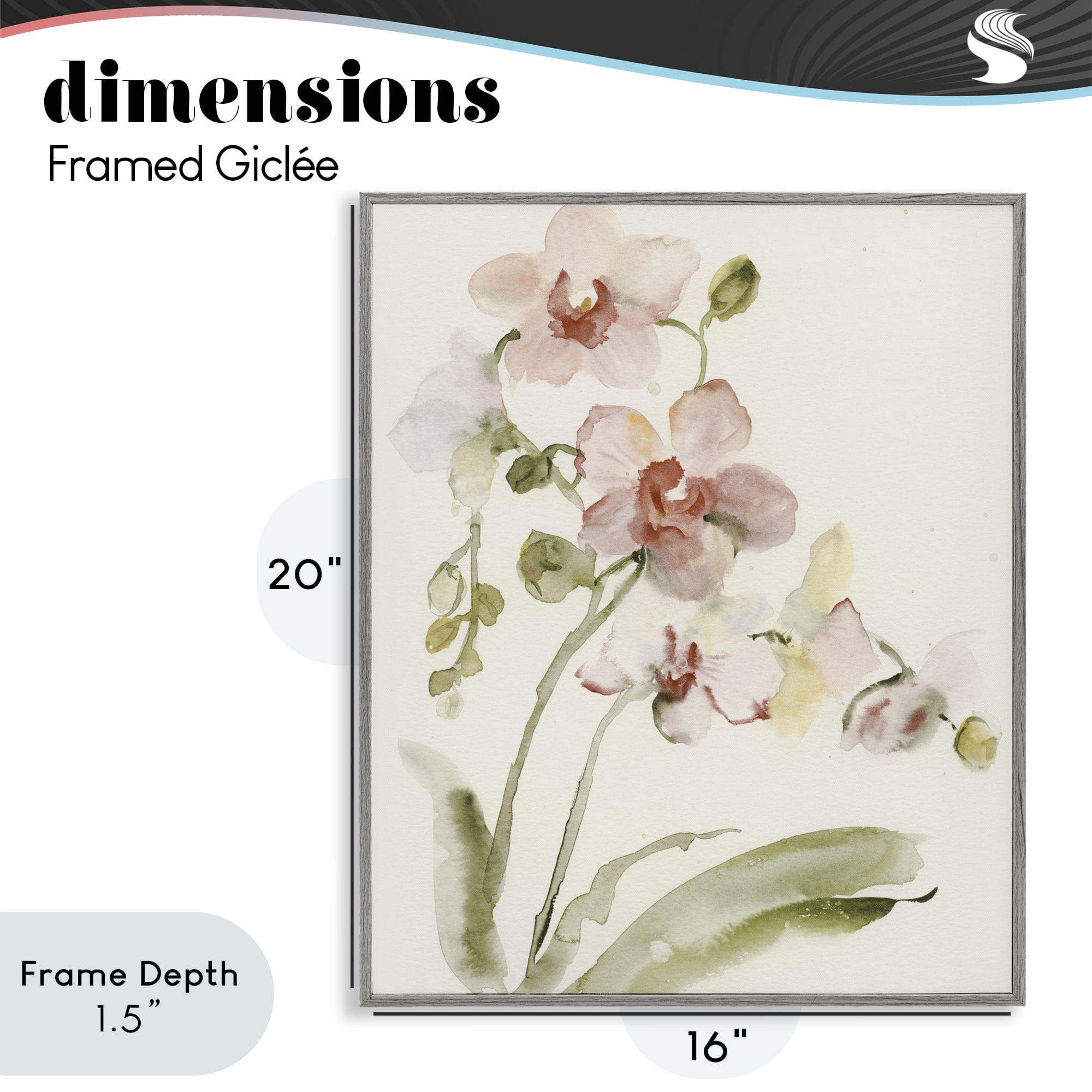 Stupell Industries Gentle Pink Orchid in Bloom Gray Framed Giclee Art, design by Victoria Barnes