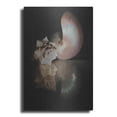 thumbnail image 1 of Luxe Metal Art 'Pearl Nautilus' by Cecile Baird, Metal Wall Art, 24"x36", 1 of 7