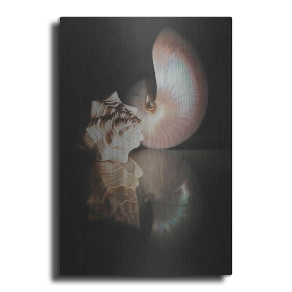 Luxe Metal Art 'Pearl Nautilus' by Cecile Baird, Metal Wall Art, 24"x36"