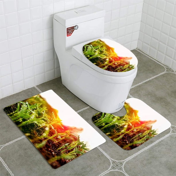 ABPHQTO Las plántulas húmedas verdes jóvenes frescas que acaban de germinar lentamente se elevan por encima del suelo 3 piezas Alfombra de baño Alfombra de contorno y tapa de inodoro