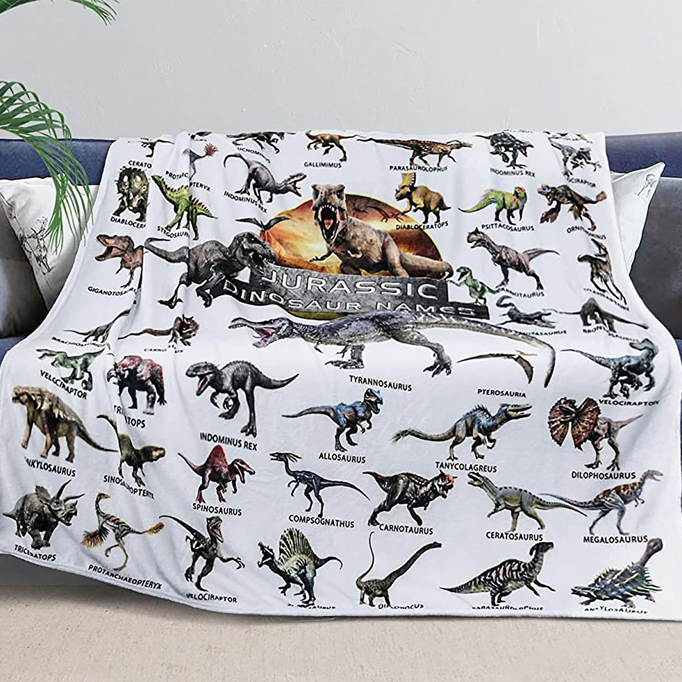 Dinosaur Blanket for Boys Soft Warm Flannel Blankets, Kid Full Season Lightweight Cozy Fuzzy Blanket, Plush Blanket for Couch, Bed, Sofa, Unique Gifts for Jurassic Dinosaur Fans Can Read 50x60 Inches