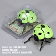 thumbnail image 3 of ICQOVD Realistic Insect Model Educational Display Tool, 3 of 8