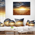 thumbnail image 3 of Designart Drought Land under Bright Sunset - Modern Landscape Printed Throw Pillow - 16x16, 3 of 4