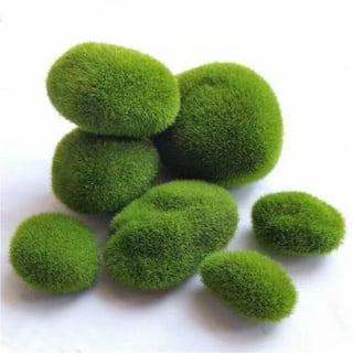 TecUnite 20 Pieces Green Moss Artificial Moss Rocks Decorative Faux Moss  Covered Stones (5 Size)