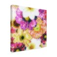 thumbnail image 2 of Trademark Fine Art 'Floral Reef II' Canvas Art by James Burghardt, 2 of 4
