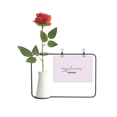 thumbnail image 1 of Checal Molecular Structure Pepper Artificial Rose Flower Hanging Vases Decoration Bottle, 1 of 3