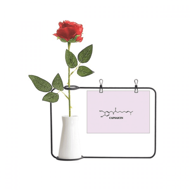 Checal Molecular Structure Pepper Artificial Rose Flower Hanging Vases Decoration Bottle