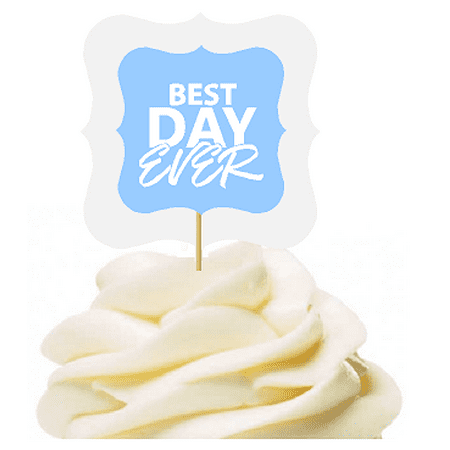 Light Blue 12pack Best Day Ever Cupcake Desert Appetizer Food Picks for Weddings, Birthdays, Baby Showers, Events &