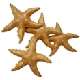 thumbnail image 1 of Animal acuático hinchable Starfish Jet Creations, 20 cm, paquete de 4, 1 of 6