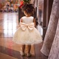 thumbnail image 1 of Vestido de encaje para niña pequeña SDJMa, vestido de fiesta con lazo y tutú con tocado, 1 of 6