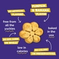 thumbnail image 6 of Fruitables Baked Pumpkin and Banana Treats for Dogs– 12 Ounces, 6 of 9