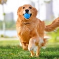 thumbnail image 6 of WD-Forest 2.4" Indestructible Squeaky Dog Chew Ball for Aggressive Chewers Interactive Dog Toys for Teething Relieving Anxiety Outdoor Rubber Balls for Large Medium Breeds, 6 of 6