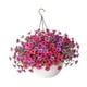 thumbnail image 5 of Cesta de flores artificiales colgantes con plantas artificiales, maceta colgante realista para primavera, balcón, habitación y patio. Estilo E, 5 of 8