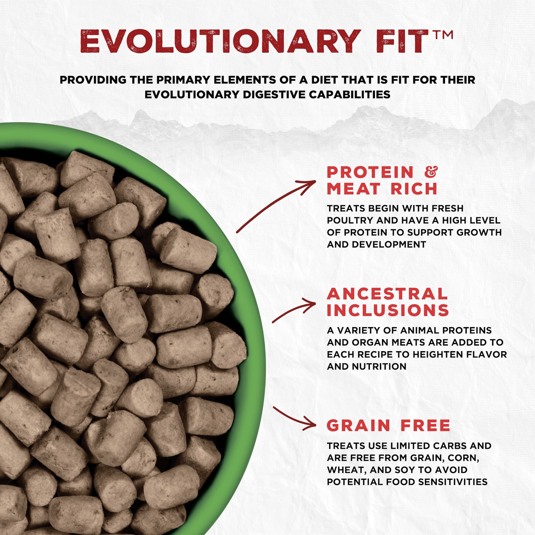 COEVO | Freeze-Dried Raw Open Plains Beef, Pork, & Bison Recipe for Dogs • 1lb / 454g | Skin & Coat, Bone & Joint, and Digestive Support | High Protein Grain Free Dry Dog Food