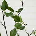 thumbnail image 4 of Nearly Natural 4ft. Minimalist Citrus Artificial Tree, Green, 4 of 7
