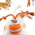 thumbnail image 6 of Interactive Motion Activated Puppies Toy With Chirping Sound Effect ABS Promotes Physical Activity, 6 of 7