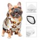 thumbnail image 3 of Fotbe Sloth Yoga Sudadera con Estampado para Perros Pequeños – Suéter con Capucha para Mascotas, Tela Suave de Forro Polar con Bolsillo-X-Large, 3 of 7