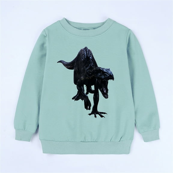 Boys Hoodies and Sweatshirts Unisex Cartoon Animals Dinosaur Printed Pullover for Kids Toddler Sweatshirt Hoodie