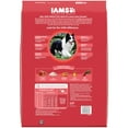thumbnail image 3 of Iams Proactive Health Minichunks Dry Dog Food With Real Lamb & Rice, 15 Lb. Bag, 3 of 12