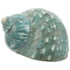 thumbnail image 1 of Concha de playa artesanal, decoración náutica, concha, pecera, decoración de paisaje para acuario, artesanías de concha, 1 of 5