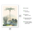 thumbnail image 2 of Bet Nut Subfamily Palms (Astrocaryum Acaule) (Oenocarpus Bataua) - Vintage Botanical Illustration by Carl Friedrich Philipp von Martius c.1820s - Bamboo Fine Art 290gsm Paper Print (Unframed) 24x32in, 2 of 4