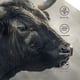 thumbnail image 3 of Fotbe Mystical Bull in Fog Gorro Clásico de Béisbol, Gorra Ajustable con Broche Snapback, Gorro de Exterior de Algodón Suave, 3 of 6