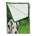 thumbnail image 2 of Dog Soft Flannel Fleece Throw Blanket, Pets Puppy Family in the Garden Australian Shepherds and a Cat Scenery, Cozy Plush for Indoor and Outdoor Use, 60" x 80", Cream Grey Fern Green, by Ambesonne, 2 of 5