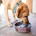 thumbnail image 4 of Cuenco Metálico Loving Pets UVA Pequeño Bella, 4 of 7