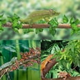 thumbnail image 5 of Ksopiavobs Reptile Plants, Amphibian Hanging Plants with Suction Cup for Snake, Bearded Dragons, Lizards, Geckos, Toads, Hermit Crab Tank Pets Habitat Decorations, 5 of 7