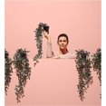 thumbnail image 2 of LLC Indoor/Outdoor Hanging Artificial Potted Plant, 2 of 5